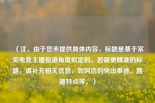 （注，由于您未提供具体内容，标题是基于常见电竞主播报道角度拟定的。若需更精准的标题，请补充相关信息，如阿浩的突出事迹、直播特点等。）