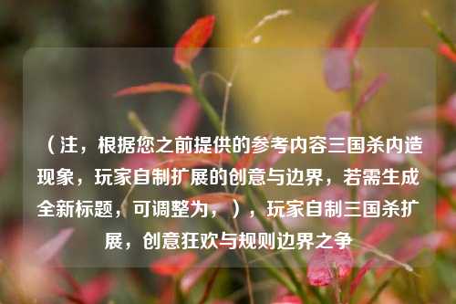 （注，根据您之前提供的参考内容三国杀内造现象，玩家自制扩展的创意与边界，若需生成全新标题，可调整为，），玩家自制三国杀扩展，创意狂欢与规则边界之争