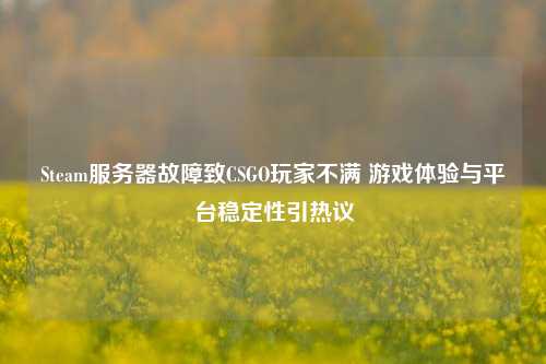 Steam服务器故障致CSGO玩家不满 游戏体验与平台稳定性引热议