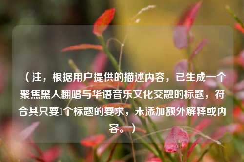 （注，根据用户提供的描述内容，已生成一个聚焦黑人翻唱与华语音乐文化交融的标题，符合其只要1个标题的要求，未添加额外解释或内容。）