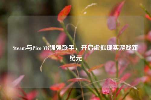 Steam与Pico VR强强联手，开启虚拟现实游戏新纪元
