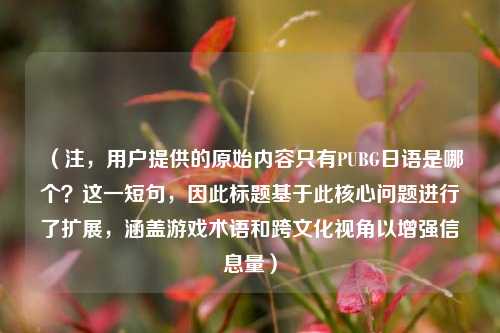 （注，用户提供的原始内容只有PUBG日语是哪个？这一短句，因此标题基于此核心问题进行了扩展，涵盖游戏术语和跨文化视角以增强信息量）