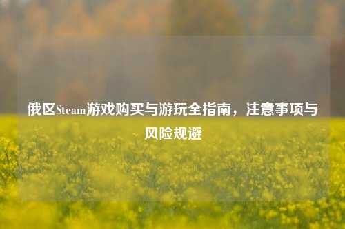 俄区Steam游戏购买与游玩全指南，注意事项与风险规避