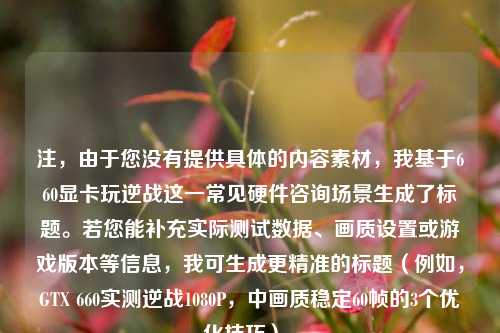注，由于您没有提供具体的内容素材，我基于660显卡玩逆战这一常见硬件咨询场景生成了标题。若您能补充实际测试数据、画质设置或游戏版本等信息，我可生成更精准的标题（例如，GTX 660实测逆战1080P，中画质稳定60帧的3个优化技巧）。