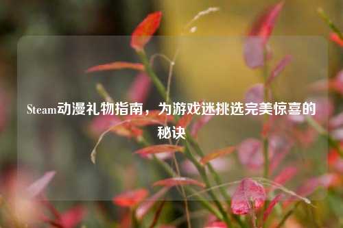 Steam动漫礼物指南，为游戏迷挑选完美惊喜的秘诀