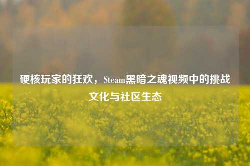 硬核玩家的狂欢，Steam黑暗之魂视频中的挑战文化与社区生态