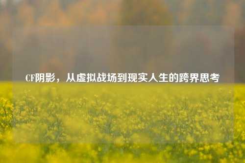 CF阴影，从虚拟战场到现实人生的跨界思考