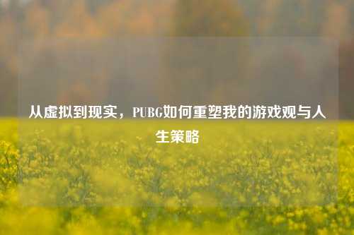 从虚拟到现实，PUBG如何重塑我的游戏观与人生策略
