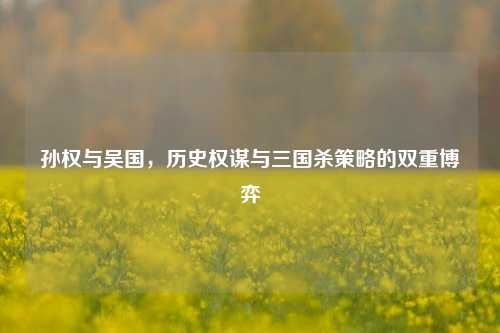 孙权与吴国，历史权谋与三国杀策略的双重博弈