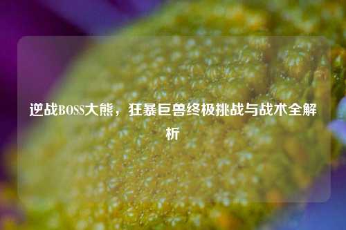 逆战BOSS大熊，狂暴巨兽终极挑战与战术全解析