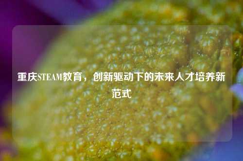 重庆STEAM教育，创新驱动下的未来人才培养新范式
