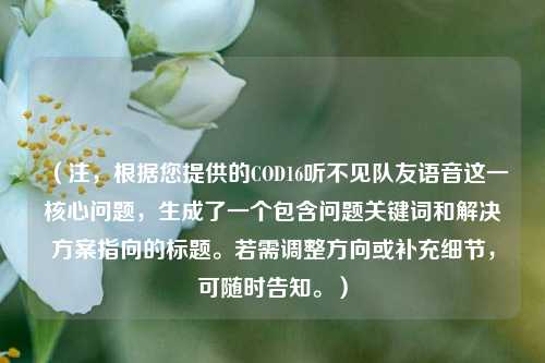 （注，根据您提供的COD16听不见队友语音这一核心问题，生成了一个包含问题关键词和解决方案指向的标题。若需调整方向或补充细节，可随时告知。）
