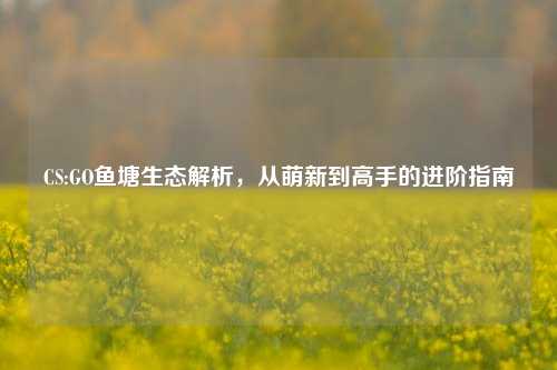 CS:GO鱼塘生态解析，从萌新到高手的进阶指南