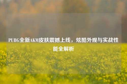 PUBG全新AKM皮肤震撼上线，炫酷外观与实战性能全解析