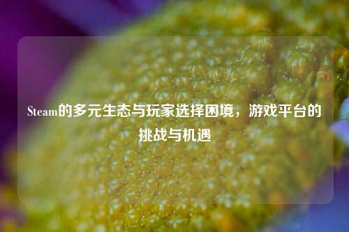 Steam的多元生态与玩家选择困境，游戏平台的挑战与机遇
