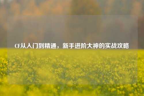CF从入门到精通，新手进阶大神的实战攻略