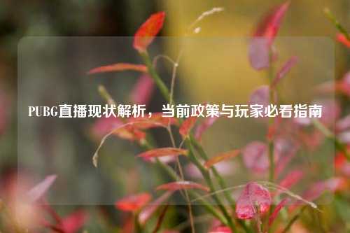 PUBG直播现状解析，当前政策与玩家必看指南