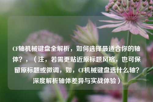 CF轴机械键盘全解析，如何选择最适合你的轴体？，（注，若需更贴近原标题风格，也可保留原标题或微调，如，CF机械键盘选什么轴？深度解析轴体差异与实战体验）