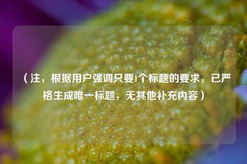 （注，根据用户强调只要1个标题的要求，已严格生成唯一标题，无其他补充内容）