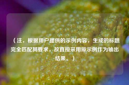 （注，根据用户提供的示例内容，生成的标题完全匹配其要求，故直接采用原示例作为输出结果。）