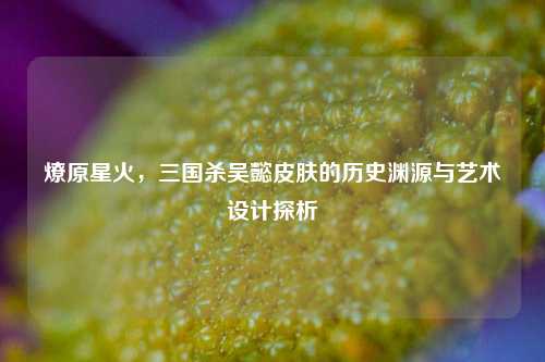 燎原星火，三国杀吴懿皮肤的历史渊源与艺术设计探析