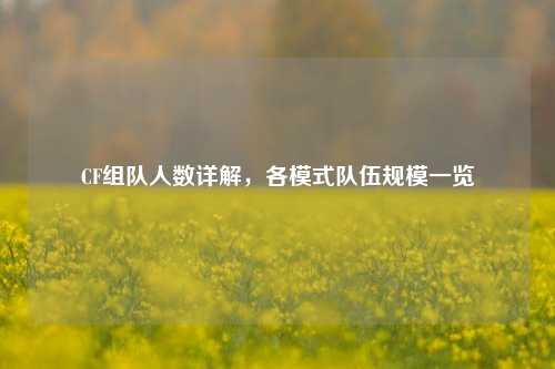 CF组队人数详解，各模式队伍规模一览