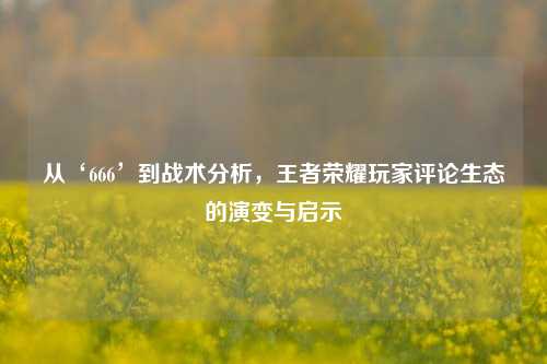 从‘666’到战术分析，王者荣耀玩家评论生态的演变与启示