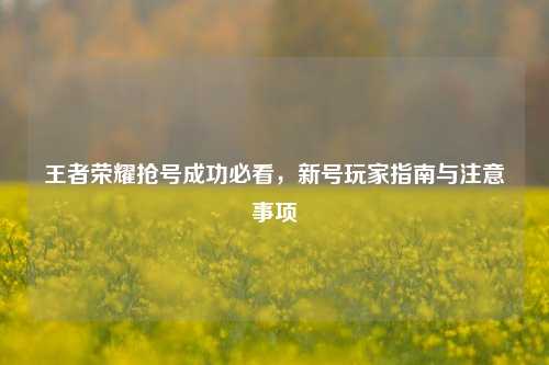 王者荣耀抢号成功必看，新号玩家指南与注意事项