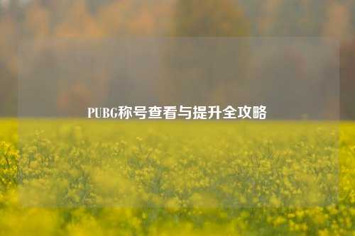 PUBG称号查看与提升全攻略