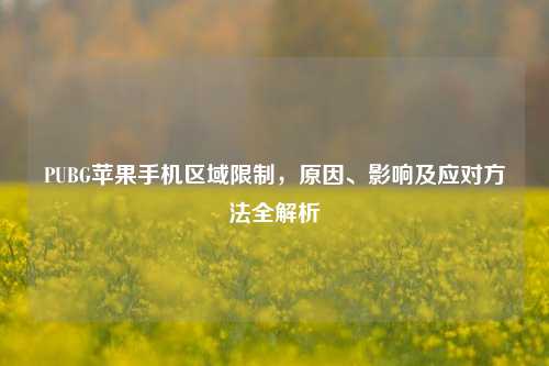 PUBG苹果手机区域限制，原因、影响及应对方法全解析
