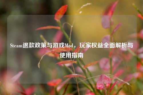 Steam退款政策与游戏Mod，玩家权益全面解析与使用指南