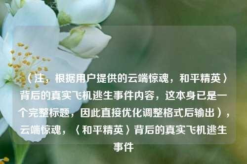 （注，根据用户提供的云端惊魂，和平精英〉背后的真实飞机逃生事件内容，这本身已是一个完整标题，因此直接优化调整格式后输出），云端惊魂，〈和平精英〉背后的真实飞机逃生事件