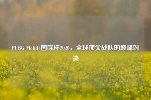 PUBG Mobile国际杯2020，全球顶尖战队的巅峰对决