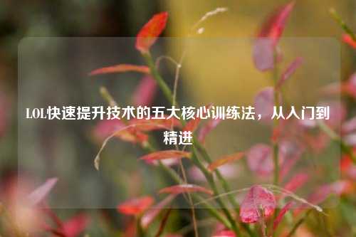 LOL快速提升技术的五大核心训练法，从入门到精进