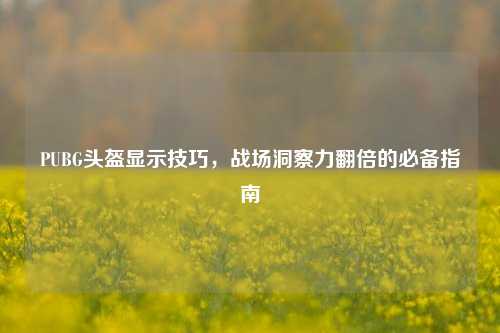 PUBG头盔显示技巧，战场洞察力翻倍的必备指南