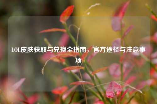 LOL皮肤获取与兑换全指南，官方途径与注意事项