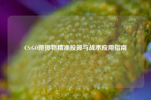 CS:GO抛掷物精准投掷与战术应用指南