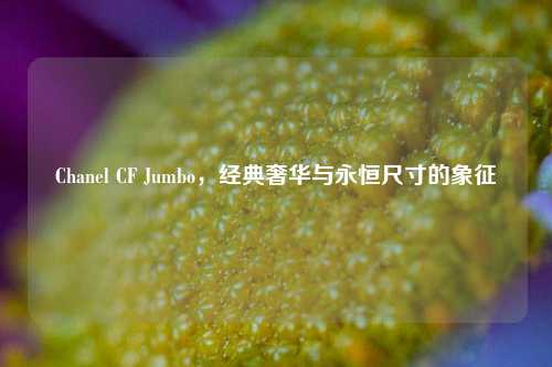 Chanel CF Jumbo，经典奢华与永恒尺寸的象征