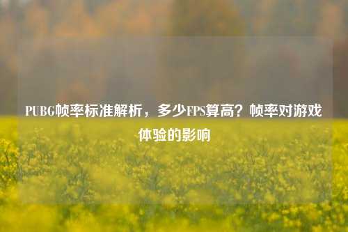 PUBG帧率标准解析，多少FPS算高？帧率对游戏体验的影响