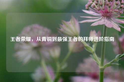 王者荣耀，从青铜到最强王者的拜师进阶指南