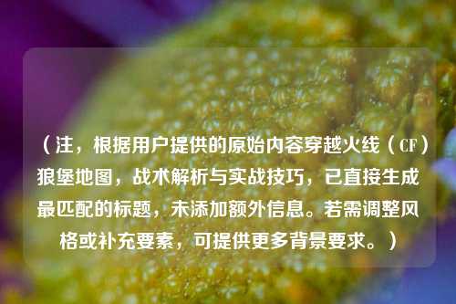 （注，根据用户提供的原始内容穿越火线（CF）狼堡地图，战术解析与实战技巧，已直接生成最匹配的标题，未添加额外信息。若需调整风格或补充要素，可提供更多背景要求。）
