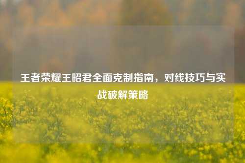 王者荣耀王昭君全面克制指南，对线技巧与实战破解策略