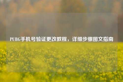 PUBG手机号验证更改教程，详细步骤图文指南