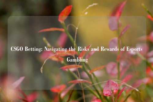 CSGO Betting: Navigating the Risks and Rewards of Esports Gambling