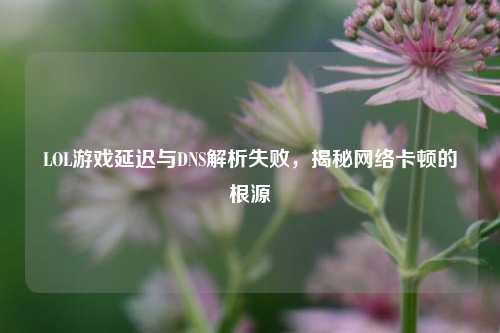 LOL游戏延迟与DNS解析失败，揭秘网络卡顿的根源