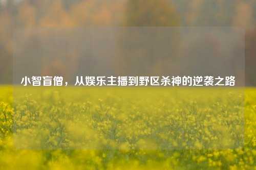 小智盲僧，从娱乐主播到野区杀神的逆袭之路