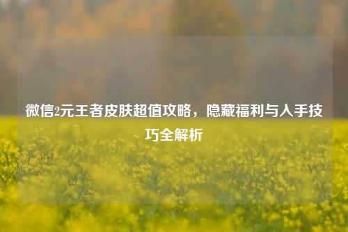 微信2元王者皮肤超值攻略，隐藏福利与入手技巧全解析