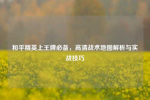 和平精英上王牌必备，高清战术地图解析与实战技巧