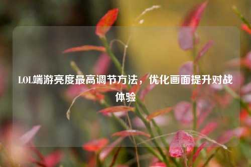 LOL端游亮度最高调节方法，优化画面提升对战体验