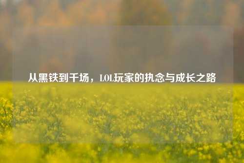 从黑铁到千场，LOL玩家的执念与成长之路